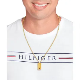 Tommy Hilfiger Kette JAMESON Gold / Edelstahl