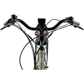 Llobe City E-Bike 28 Zoll RH 125 cm grün