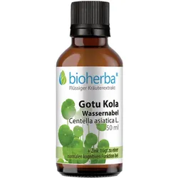 Gotu Kola Wassernabel Tropfen  Tinktur 50 ml