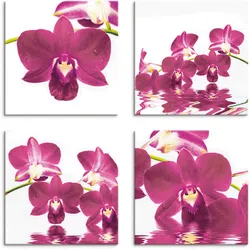 Leinwandbild ARTLAND "Phalaenopsis Orchidee", pink (farbe bild(er): pink), B:20cm H:20cm, Canvas, Leinwand, MDF, Bilder, 4er Set, verschiedene Größen