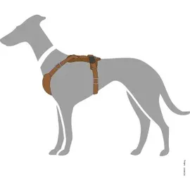 Hunter Aalborg Hundehalsband Braun XS