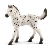 schleich 17076 Knabstrupper Fohlen, ab 5 Jahren, Horse Club - Spielfigur, 3 x 9 x 8 cm