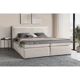 Collection AB Athena 193 x 208 cm H2 Beige