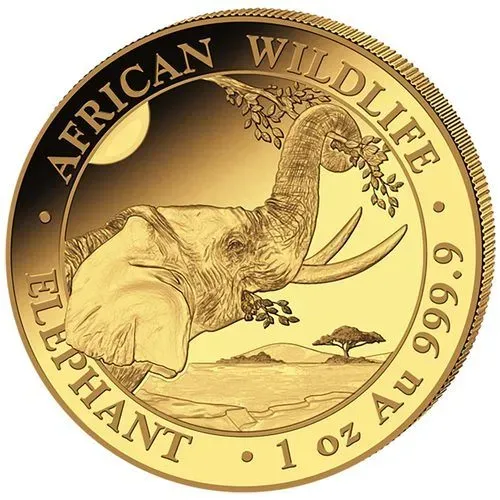 1 Unze Gold Somalia Elefant 2023