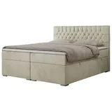MKS Meble Boxbett mit Bettkasten ¦ beige ¦ Maße (cm): B: 140 H: 125