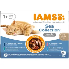 Iams Adult Thunfisch in Gelee 12 x 85 g