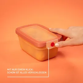 Emsa Frischhaltedose rechteckig orange 11,71 cm x 17,49 cm x 8,25 cm 0,75 l