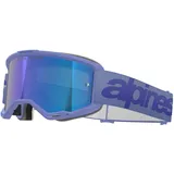 Alpinestars Vision 5 Wordmark MPNR Grau/Lila