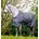Horseware Horseware 115 5 6