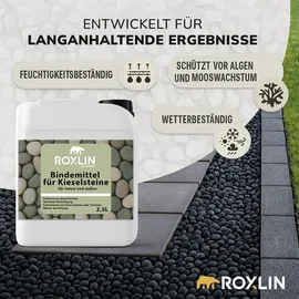 roxlin Rasengitter Kiesbinder 2,5 l
