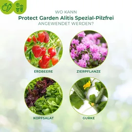 Protect Garden Alitis Spezial-Pilzfrei Konzentrat 40 g