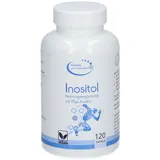 G & M Naturwaren Import GmbH & Co. KG Inositol Vegi Kapseln