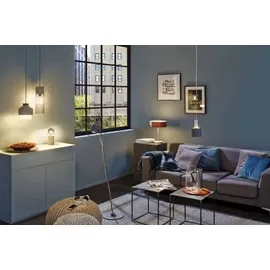 Paulmann Neordic Nordin (796.00)