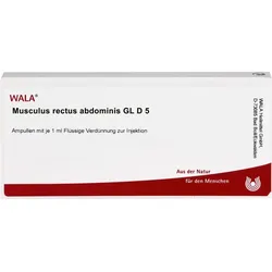 MUSCULUS RECTUS abdominis GL D 5 Ampullen 10 ml