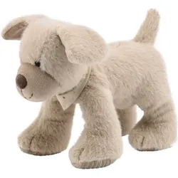 STERNTALER 3002426 Kuscheltier M HUND Lucky graubeige