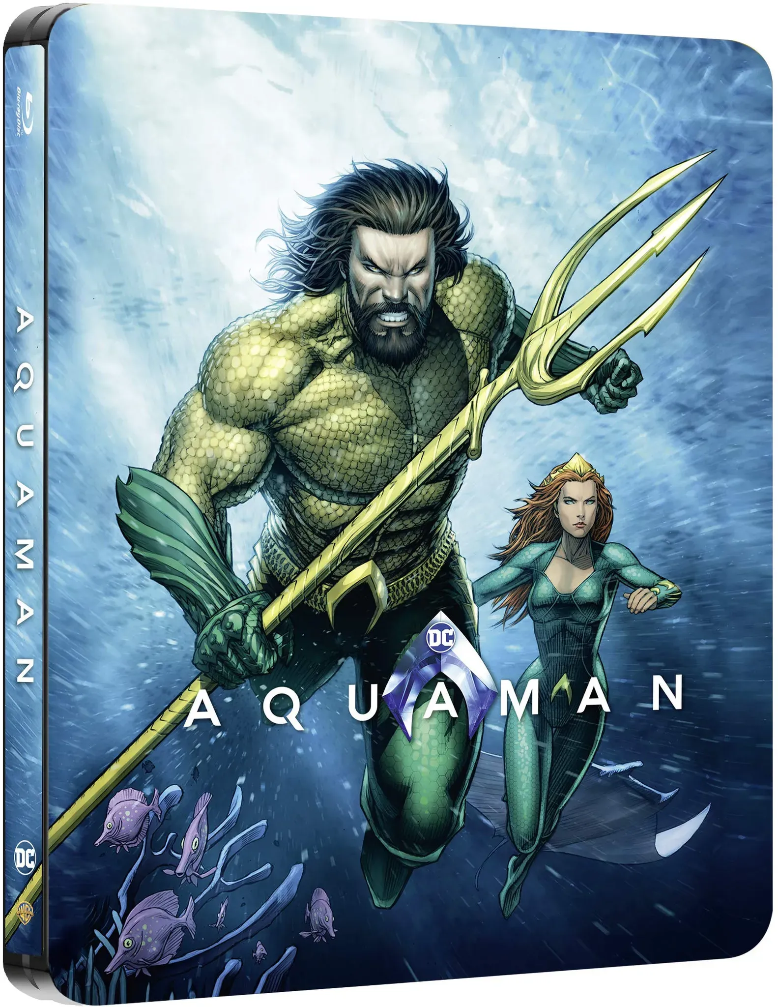 Aquaman Steelbook Illustrated Artwork (Blu-ray 2D) (Neu differenzbesteuert)