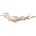 mm_unverified_brand L 40mm D 10mm Buche
