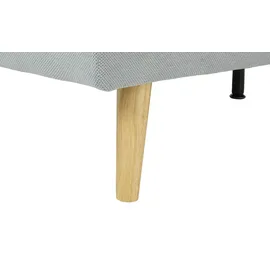 Möbel Kraft Schlafcouch Stoff 2-Sitzer Grau
