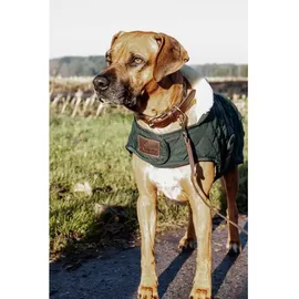 Kentucky Hundejacke Dunkelgrün 44-50 cm