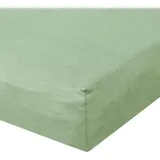 BettwarenShop Spannbettlaken Baumwolle-Jersey-Elasthan 120 x 200 - 130 x 220 cm grün