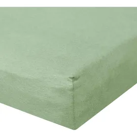 BettwarenShop Spannbettlaken Baumwolle-Jersey-Elasthan 120 x 200 - 130 x 220 cm grün