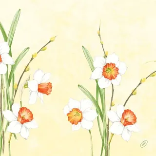 300 Duni Classic-Servietten 40 x 40 cm Daffodil Joy