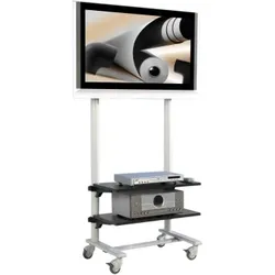 TV Wagen, TV Rack für Fernseher bis 50 Zoll mit 2 Ablagen