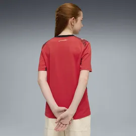 Puma Ägypten Trainingsshirt 2024 rot Unisex Gr. 164