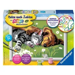 Ravensburger Malen-nach-Zahlen Tiefer Schlaf 4005556280155 Ravensburger