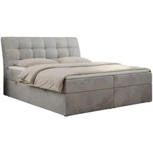 MKS Boxbett, DIEGOS 160/200 Hellgrau Velvet - H4