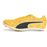 Puma Evospeed Star 8 sun stream/sunset glow/puma black 42