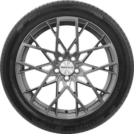Delinte 255/35 YR18 94Y DS2