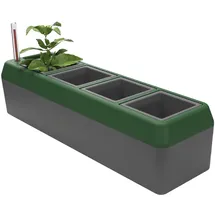 Bio Green Kräuterbeet Provence mit Bewässerungssystem 4 Töpfe