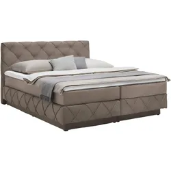 Boxspringbett Cordoba Braun ca. 160x200cm