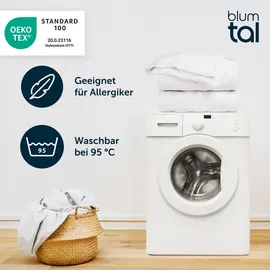 Blumtal Sommerdecke 200x220 cm - leichte Decke Sommer weich - leichte Sommerdecke Füllmenge 150gsm - Steppbettdecke leicht/Steppdecke - Weiß, Textil, Füllung: Polyester, Rechteckig, Oeko-Tex® Standard 100, Schlaftextilien, Bettdecken, Sommerdecken