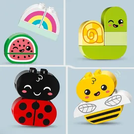 LEGO Duplo Biogarten 10984