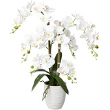 Creativ green Kunstorchidee »Deko-Orchidee Phalaenopsis im Keramiktopf«, weiß