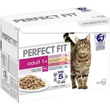 PERFECT FIT Adult 1+ Mix 12 x 85 g