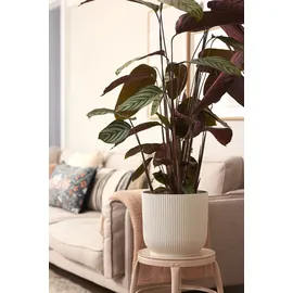 elho Blumentopf Vibes Fold Ø 30 cm seidenweiß