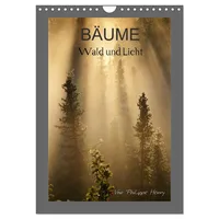 Calvendo BÄUME (Wandkalender 2026 DIN A4 hoch), CALVENDO Monatskalender: