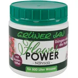 Buri Flower Power Nährsalz 500 g