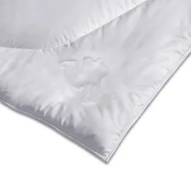 Kauffmann Kamelhaar Steppdecke 200x200 cm leicht - weiß ¦ Maße B: 200 H: 5