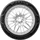 Petlas ProGreen PT525 185/55 R14 80H