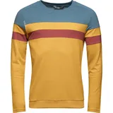 Chillaz Herren Flatanger Pullover (Größe M, gelb)