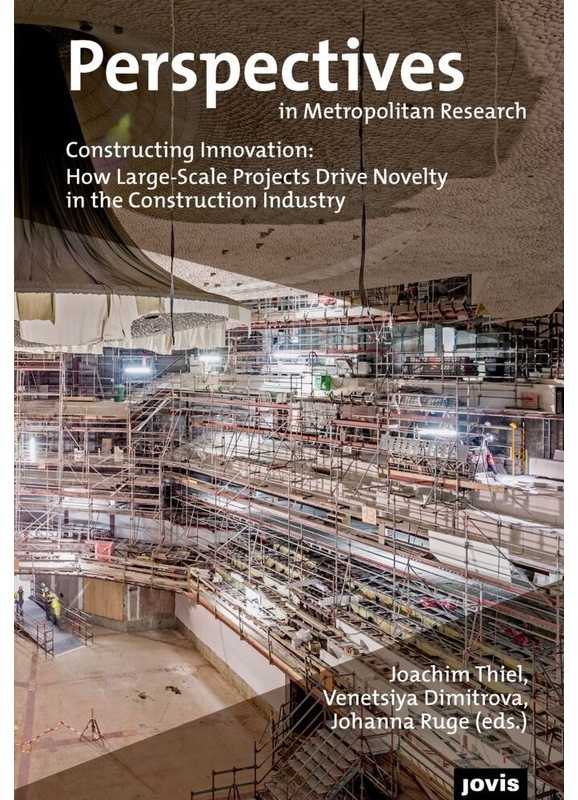 Constructing Innovation: How Large-Scale Projects Drive Novelty In The Construction Industry  Kartoniert (TB)