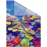 Lichtblick Fensterfolie »Aquarium«, 1 St., blickdicht, strukturiertKlebepunkte, selbstklebend, Sichtschutz, bunt B/L: ca. 50x50 cm (B x L)