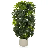 HJH Office Kunstpflanze Schefflera 2 / Kunstbaum Strahlenaralie 110 cm Kunststoff grün