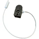 Kopp 191700084