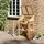 Outsunny Frühbeet Holz, 50x120x70 cm, Gartenzubehör, Gartenpflege