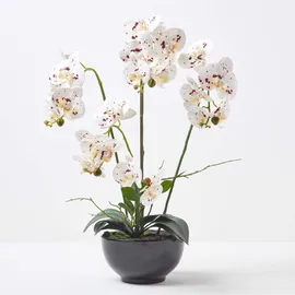 Homescapes - künstliche Weiße Phalaenopsis-orchidee im schwarzen Keramiktopf, 62 cm